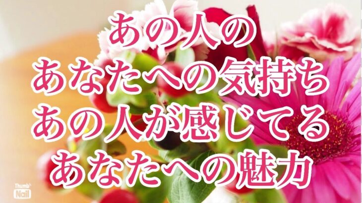 色々な想いが見えました🥺あの人のあなたへの気持ち❣️あの人が感じてるあなたへの魅力✨