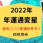 四柱推命【2022年日干別通変星】壬の○○○を活かそう！