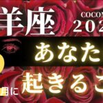 山羊座♑️ 【２月、あなたに起きること🌈】２０２２　ココママの怖いほど当たる個人鑑定級、月間タロット占い🔮ラッキーカラー＆ラッキーDOING、高次元からのメッセージ付き🔮