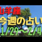 山羊座♑今週の占い🔯1/29〜2/4まで⭐カードリーディング