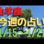 山羊座♑今週の占い⭐1月15日〜21日まで✨カードリーディング✨