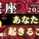 蟹座♋ 【２月、あなたに起きること🌈】２０２２　ココママの怖いほど当たる個人鑑定級、月間タロット占い🔮ラッキーカラー＆ラッキーDOING、高次元からのメッセージ付き🔮