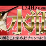 【水瓶座】全ての風を己に集めよ！チャンスに全集中！2022年2月運勢【癒しの174Hz当たる占い】