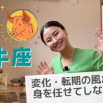 【3月】牡牛座さん、転期の風が吹く！！身を任せてしなやかに過ごした先に力強い始まりが待っている！！（おうし座）