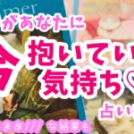 情熱的な結果も❤️‍🔥【お相手があなたに今抱いている気持ち🎁㊙️♥️お二人の状況・今のあなたへの印象・今の気持ち、占いました】ぽりあ森タロットカフェver.