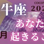 牡牛座♉️ 【３月　あなたに起きること】２０２２年　ココママのズバッと個人鑑定級タロット占い🔮高次元のメーッセージ＆ラッキーカラー＆ラッキーDOing💫付き