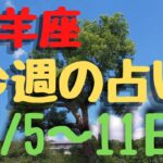 山羊座♑今週占い⭐2/5〜11日で✨カードリーディング