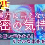 【極秘公開‼️】貴方に言えない本当の気持ち⁉️本音を聞いた！！今後は付き合いたいと思ってる？恋愛タロットオラクルカード鑑定占い🔮✨よく当たるルノルマンカード