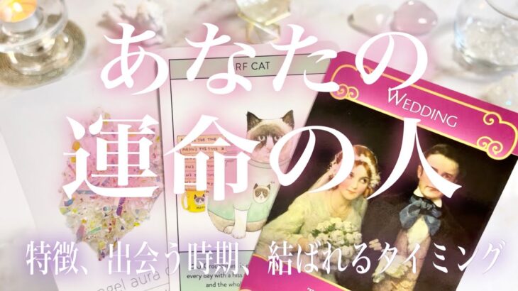 あなたの運命の人はどんな人？🧸🏰🧸💓特徴、出会う時期、結ばれるタイミング💓タロット占い💫オラクルカードリーディング🔮