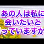 あの人は私に会いたいと思っていますか❓本音をえぐりだします❣