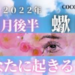 蠍座♏️ 【３月後半🌸あなたに起きること】２０２２年　ココママの個人鑑定級、タロット占い🔮高次元からのメッセージを添えて🌸