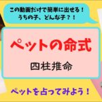 【ペットの命式】四柱推命でペットがどんな子か占ってみよう！