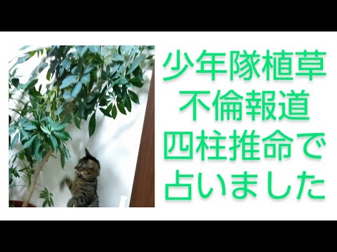 少年隊植草克秀不倫報道を四柱推命他で占いました