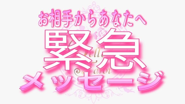 【恋愛💗緊急!!】これは今すぐ聞いてほしい!!😳タロット🧚オラクルリーディング💗