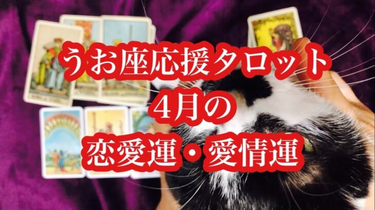 165年ぶりのモテ期！相手が見えきます！うお座さん4月の恋愛運・愛情運。Pisces April love luck and love luck.