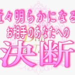 【恋愛💗あの人の決断】お相手の決断を待っている方｡｡👀近々明らかになります💗タロット🧚オラクルリーディング💖