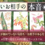 【考えが見えない彼🙋‍♂️🔎大解剖】掴めないお相手の気持ち❤️【辛口✴︎覚悟】本格リーディング、忖度一切なし