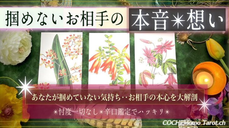 【考えが見えない彼🙋‍♂️🔎大解剖】掴めないお相手の気持ち❤️【辛口✴︎覚悟】本格リーディング、忖度一切なし