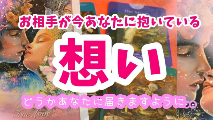 あなただけは僕のことをわかってほしい..！そんな切実な気持ちも【お相手が今あなたに抱いている想い💌占ってみました】ぽりあ森タロットカフェver.