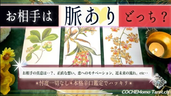 【お相手🌹正直なところ】あの人は今脈あり？【辛口✴︎覚悟】本格リーディング、忖度一切なし