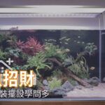 家中養魚也能招財！ 軟裝風水學問多｜魚中魚寵物水族x麻石設計｜幸福空間