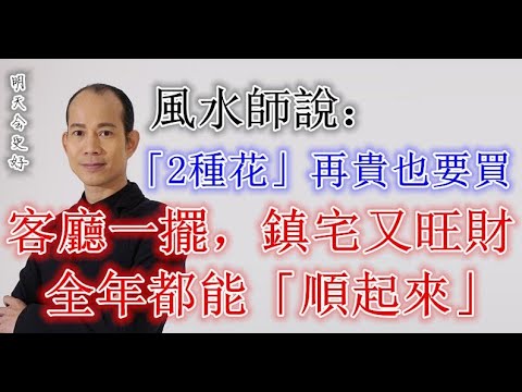 植物風水！風水大師蘇民峰：2種花再貴也買，客廳一擺，鎮宅又旺財，全年都能順起來，家中一定要養一盆，分享出去給你珍惜的人 | 佛門因果