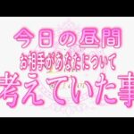 【恋愛💗昼間のあの人】今日､昼間のお相手があなたについて考えた事💗タロット🧚オラクルカードリーディング