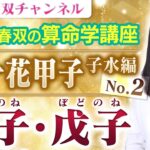 【マダム春双の算命学講座】丙子・戊子（へいかのね・ぼどのね）｜六十花甲子・子水編No.2