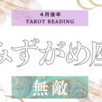 【みずがめ座】2022年4月後半タロット♡あなたの感覚全てが正解♡自分との信頼関係を再構築出来る♡