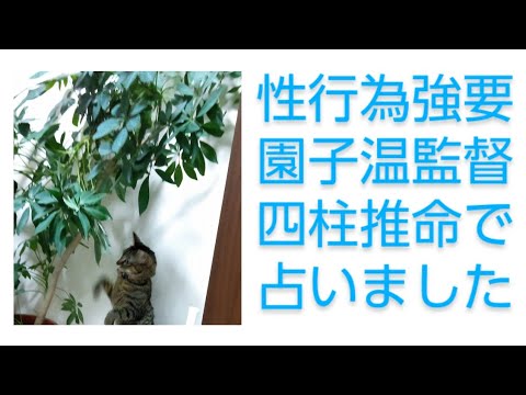 [性行為強要]園子温監督を四柱推命他で占いました。驚きの㊙️相性とは