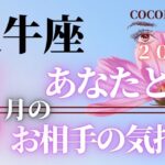 牡牛座♉️ 【５月の恋愛運❤お相手の気持ち】2022年　ココママの個人鑑定級！当たる❤タロット占い🔮