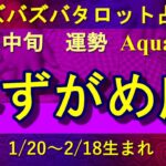 【ズバタロ★みずがめ座】水瓶座5月中旬運勢→家族のことや資産運用など人生の計画を立てる時、増える課題は取捨択一して吉