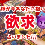 欲求がイケメンすぎ🤴♥️そんな方も..【お相手が今あなたに抱いている欲求❤️‍🔥夜編もあり❣️】タロットラウンジあもーれver.