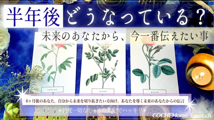 未来のあなたが伝えたい。すごく大切なこと【半年後のあなた】本格リーディング、忖度一切なし