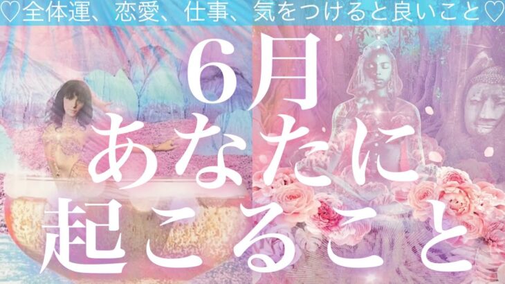 6月あなたに起こること❣️🧸💠🧸💓 全体運、恋愛、仕事💓気をつけると良いこと💓ラッキーパーソン、カラー、ナンバー💓タロット占い💫オラクルカードリーディング🔮