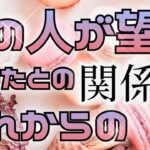 💐特別な関係を求めています🕊タロット恋愛占い💕相手の気持ち✨ルノルマンオラクル🌸詳細カードリーディング🌟個人鑑定級