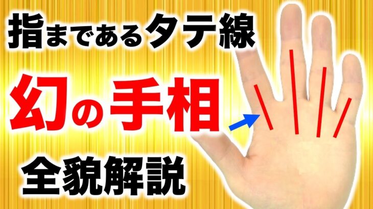 【手相】指まで縦線があると幻の手相！陰出を徹底解説【俵紋に似ている手相】