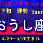 【ズバタロ★おうし座】牡牛座5月下旬運勢→多くの人との交流から素晴らしい運命の相手に出会える時、見極める厳しい目をもって吉