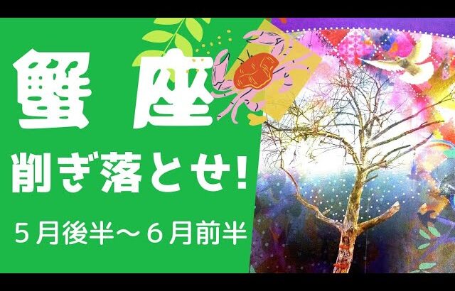 蟹座♋️自分の魅力を素直に認める✨アクシデントは成長を促すサイン🌈【2022年5月後半～6月前半の運勢】　#かに座　#生命の樹カウンセリング　#タロットオラクルルノルマン