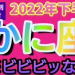 【蟹座♋運勢】2022年下半期　✡️ビビビッな事✡️　虹の架け橋🌈〘生まれ日別💌付き〙