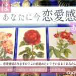 【想い】恋愛感情ありますか？【辛口✴︎覚悟】お相手の気持ち、片想い、本格リーディング、忖度一切なし