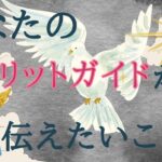 あなたのスピリットガイドからのメッセージ🧙‍♀️見るか見ないかで決めてください。