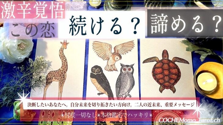 激辛 覚悟✴︎ この恋 続ける？諦める？【本気で決めたい方向け】本格リーディング、忖度一切なし