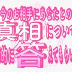 【恋愛❤️個人鑑定級👀】正直…お相手から凄すぎる答えが返ってきた😳タロット🧚オラクルカードリーディング