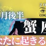 蟹座♋️ 【５月後半🌈あなたに起きること】2022年　ココママの個人鑑定級タロット占い🔮高次元のメッセージを毎月配信