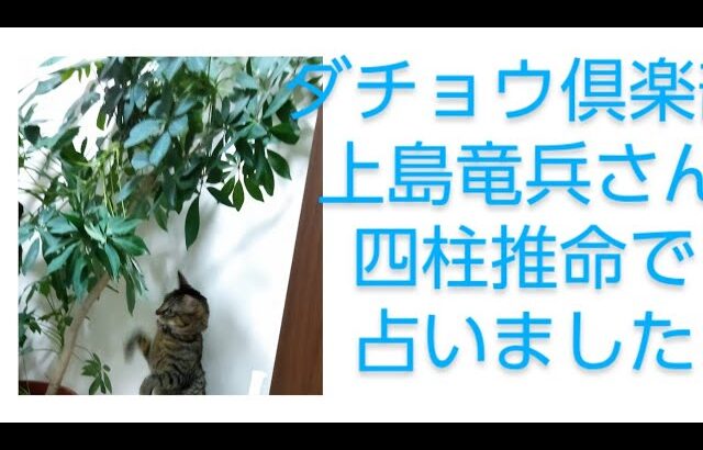 突然亡くなった上島竜兵さんを四柱推命で占いました