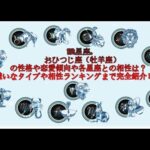 おひつじ座（牡羊座）の性格や恋愛傾向や各星座との相性は？嫌いなタイプや相性ランキングまで完全紹介！