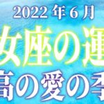 2022年6月　乙女座の運勢　最高の愛の季節