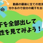 【四柱推命】蔵干を全部出して可能性を見てみよう！蔵干の種類全て分かる！