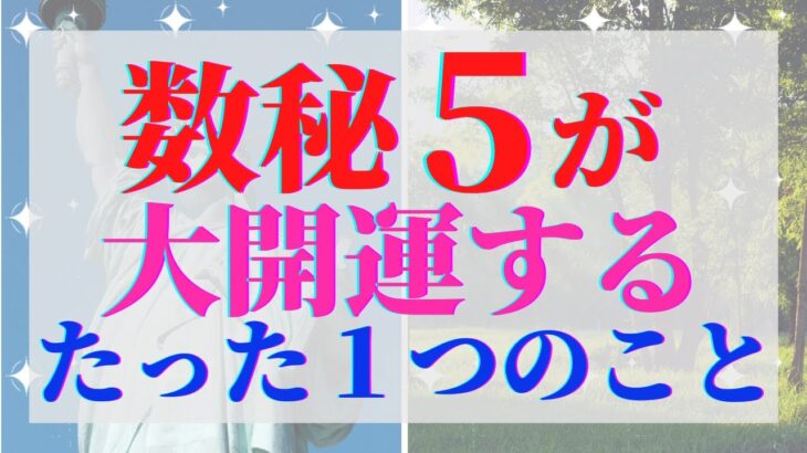 数秘5の人は必ずこの動画を見て下さい。あなたが人間から自由を奪わぬようあらゆる側面からサポートしてくれました【数秘術】